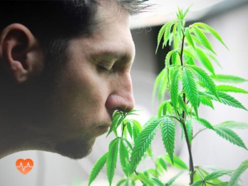 Детоксикация от марихуаны в Угличе